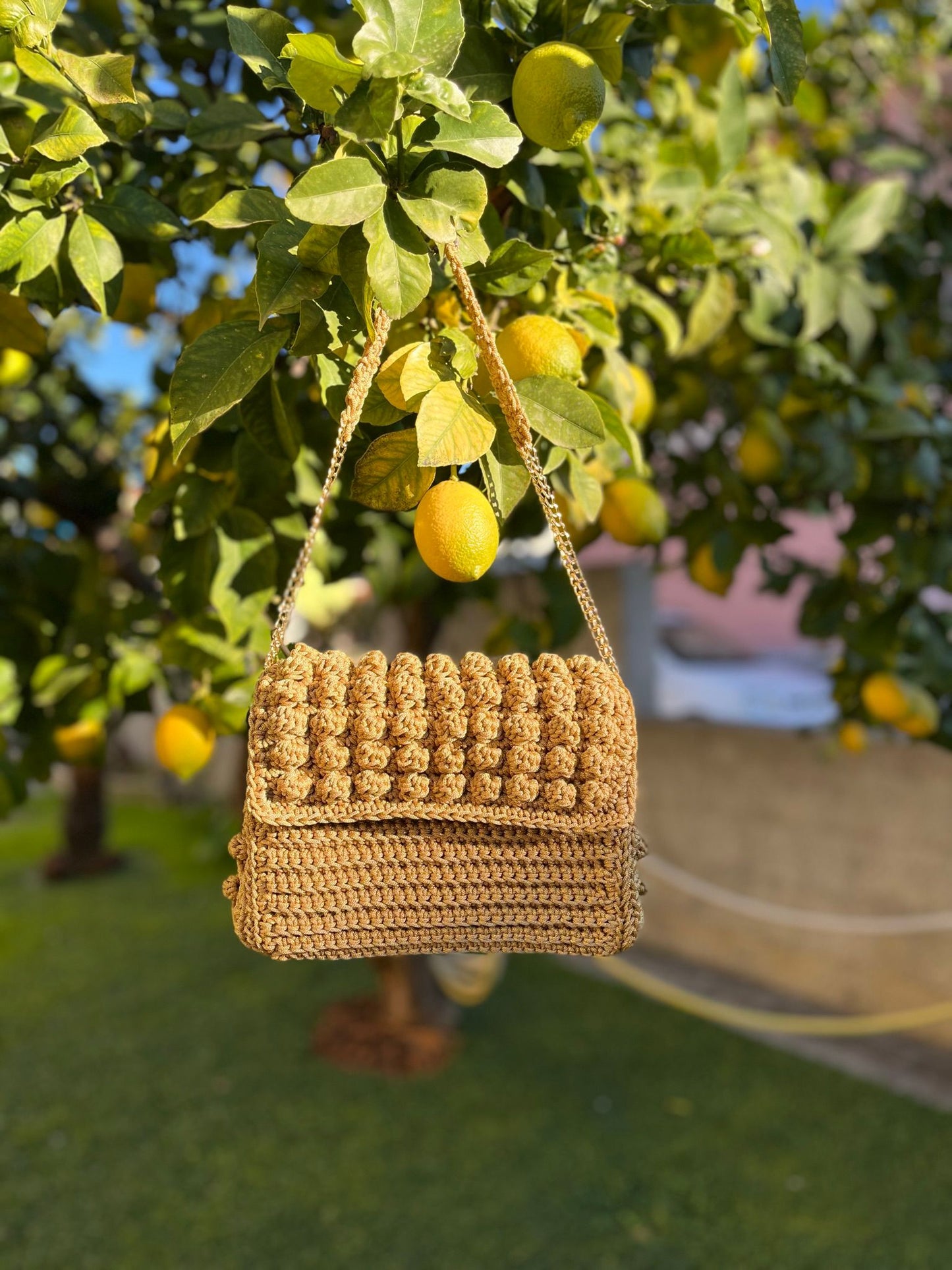 Mimosa