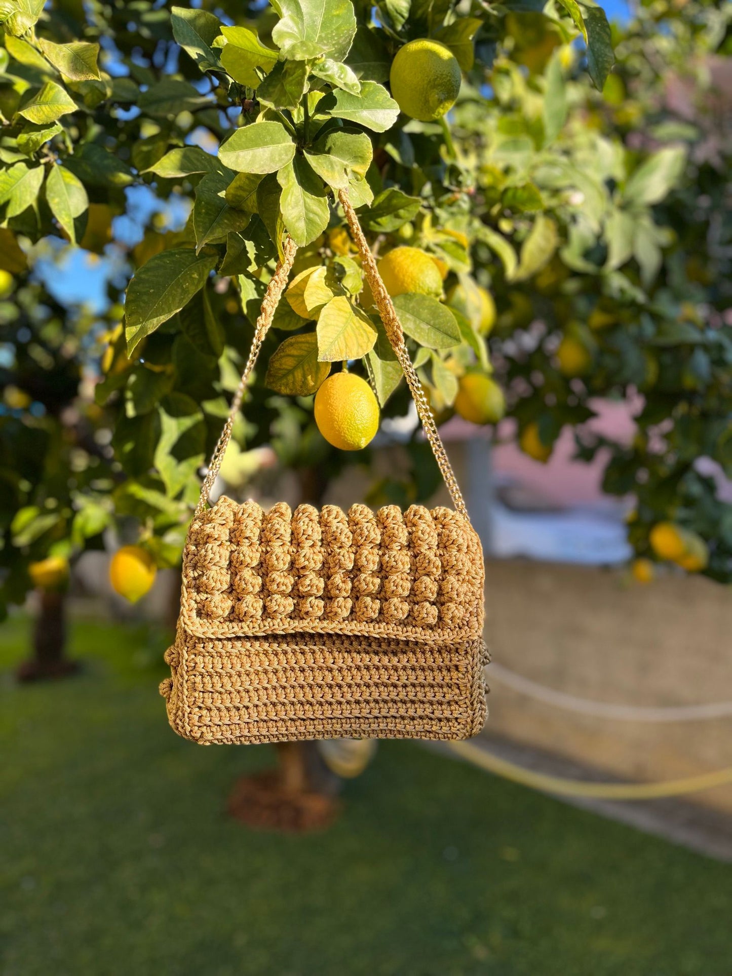 Mimosa